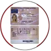 Driving License – United Kingdom