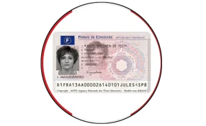 Driver License – France