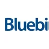 Buy Bluebird bank 2 year aged Account + VCC