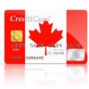 Canadian VISA Credits | 2500+ CAD Balance