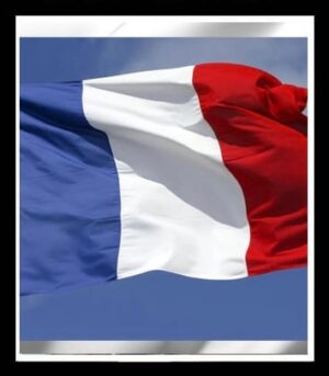 FRANCE CCV – 99% FRESH SNIFFED CCV