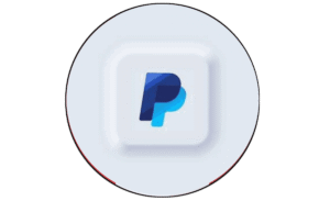$1,000 PayPal Log – Balance Account